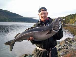 skarnsundet%20iii.jpg